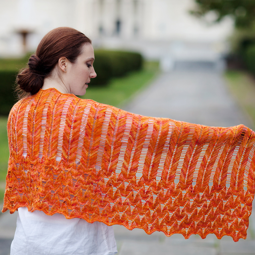 lycaena virgauraea shawl