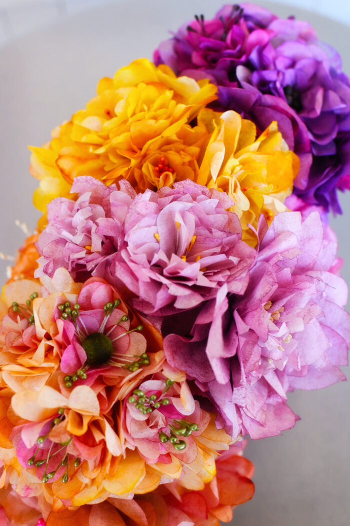 Posy - Image 9